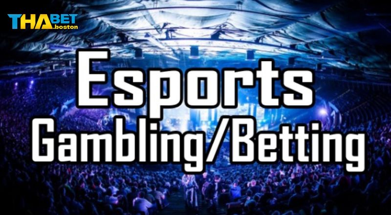 Những lưu ý để cá cược thể thao điện tử thabet luôn thắng