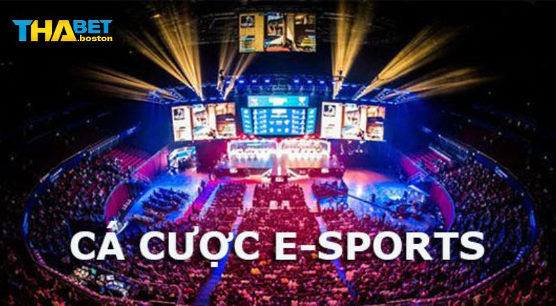 Review cá cược esport tại thabet