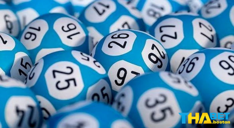 Giới thiệu Lô 3 càng là gì Giới thiệu Lô 3 càng là gì