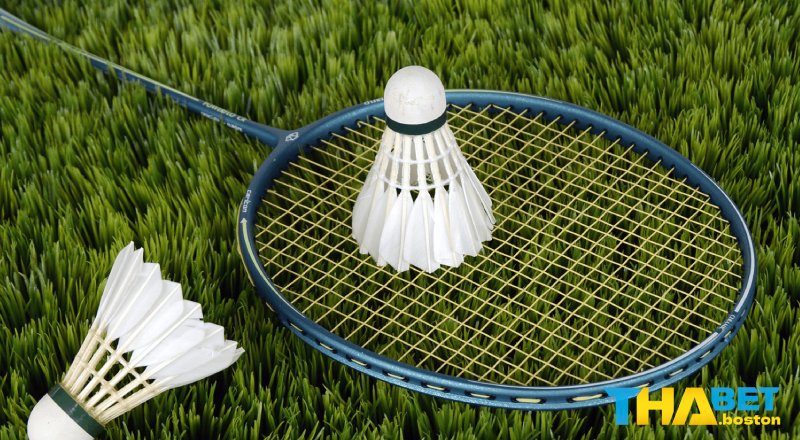 Đôi nét về cá cược cầu lông thabet Đôi nét về cá cược cầu lông thabet